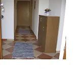 Bodzavirag