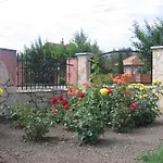 Bodzavirag Hegykő