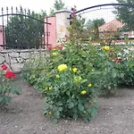 Bodzavirag