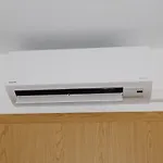 Bodzavirag * Hegykő