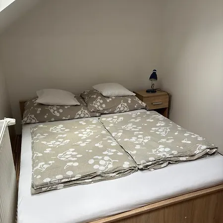 Appartement Bodzavirag *