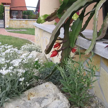 公寓 博德萨维纳格公寓 Hegykő