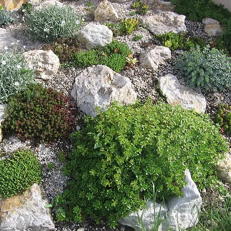 博德萨维纳格公寓 Hegykő