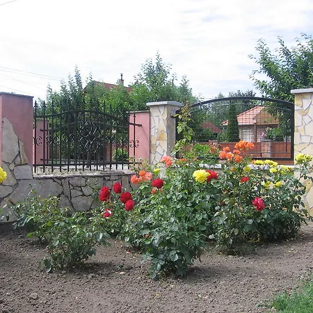 博德萨维纳格公寓 Hegykő