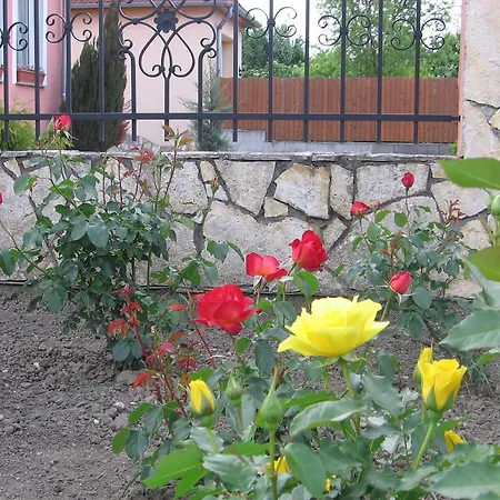 Apartment Bodzavirag *