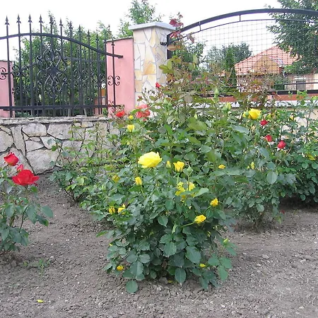 博德萨维纳格公寓