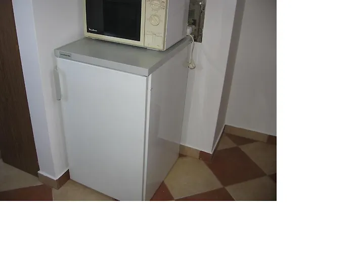 Apartament Bodzavirag *