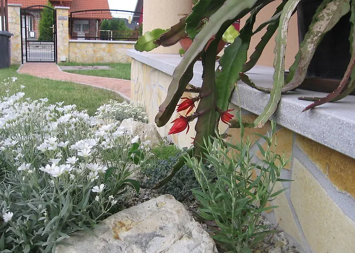 Apartament Bodzavirag Hegykő
