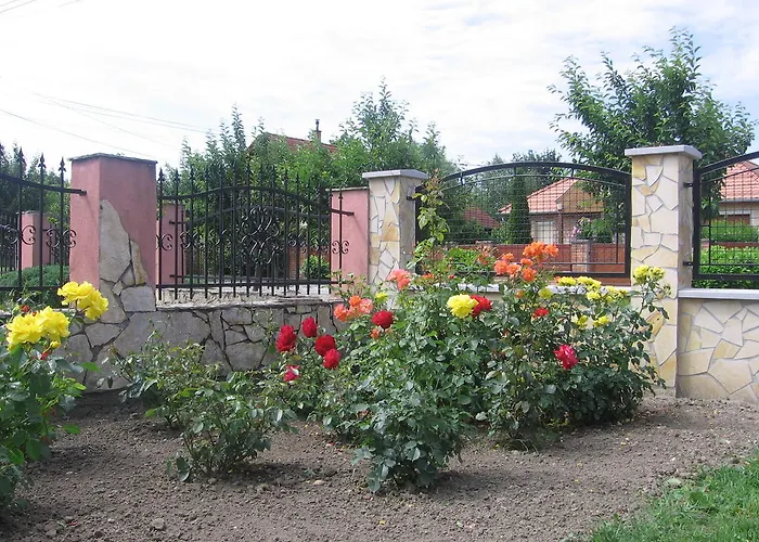 Bodzavirag Hegykő