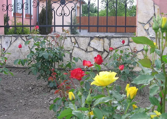 Apartament Bodzavirag *